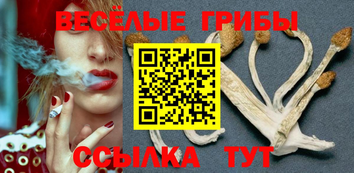 Галлюциногенные грибы мухоморы Сертолово