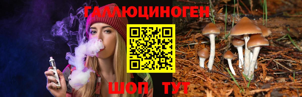 наркотики  Псилоцибиновые грибы мухоморы  Вход с VPN  Сертолово 